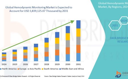 Navigating the Circulatory Landscape: The Evolving World of Hemodynamic Monitoring