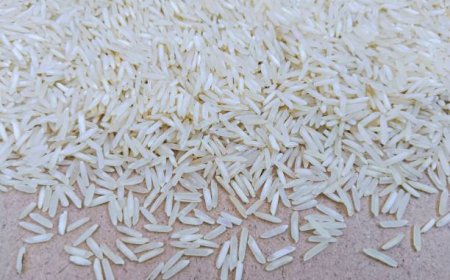 Trusted 1121 Sella Basmati Rice Supplier in India
