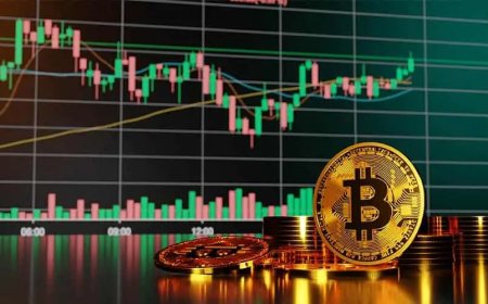 How to Identify Undervalued Crypto Projects Early?