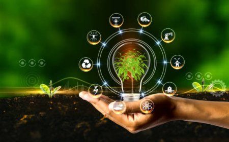 Smart Farming Techniques for Modern Agricultural Success