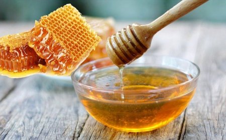 Power Meets Purity: Inside the Most Trusted Honey for High-Level Support