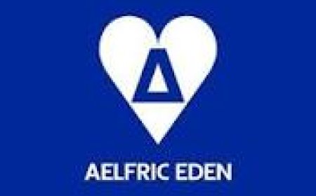 Aelfric Eden Sweatpants The Ultimate Blend of Comfort, Style, and Quality