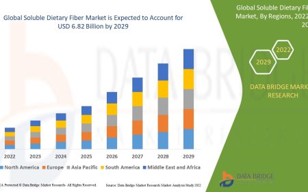 Soluble Dietary Fiber Market: Trends and Growth Opportunities