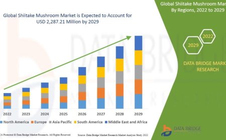 Shiitake Mushroom Market Trends, Insights and Future Outlook