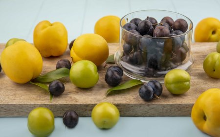 Why Chefs Love Mirabelle Sour Plums