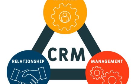 The Role of a Microsoft Dynamics CRM Partner in Digital Transformation