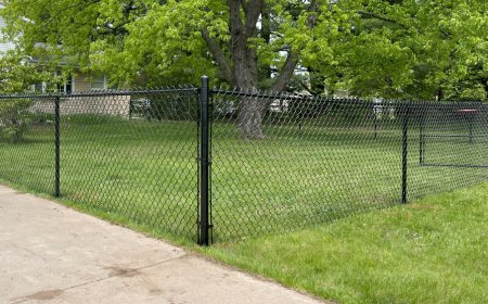 The Environmental Impact of Fencing: A Fence Company’s Sustainable Guide