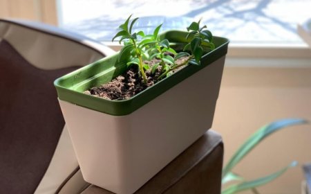 Easy Vertical Gardening Ideas That Work in Any Size Garden