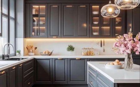 Expert Kitchen Renovation in Lakeland