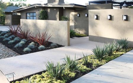 How to Integrate Lighting into Your Landscape Architecture Design?