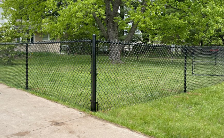 The Environmental Impact of Fencing: A Fence Company’s Sustainable Guide