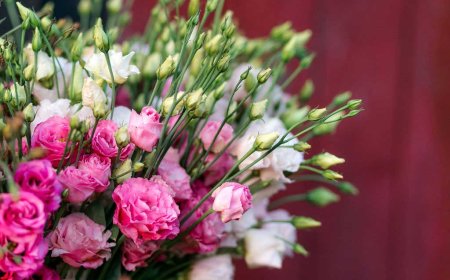 Top 6 Summer Flowers for 2025