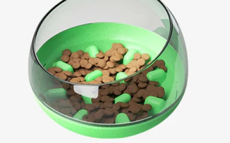 How to Make Your Pet's Food Bowl Clean and Safe