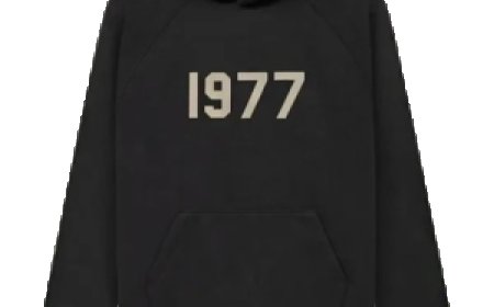 Stussy Clothing in Canada: A Fusion of Streetwear Culture and Fashion Innovation