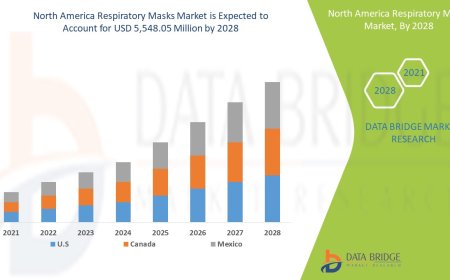 North America Respiratory Masks Market Revenue Analysis: Growth, Share, Value, Size, and Insights