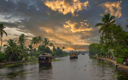 Best 6 Days Kerala Tour Packages for a Scenic Getaway
