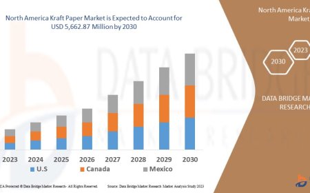 North America Kraft Paper Market Revenue Analysis: Growth, Share, Value, Size, and Insights By 2035