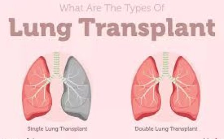 Best Lung Transplant Surgeon in Navi Mumbai – Top Rated Specialists 2025