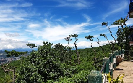 Discover the Beauty of Meghalaya with Shillong Travel Package