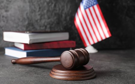 Navigating Business Tax in Tampa, FL: What Every Local Business Owner Needs to Know