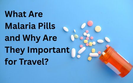 What Are Malaria Pills and Why Are They Important for Travel?