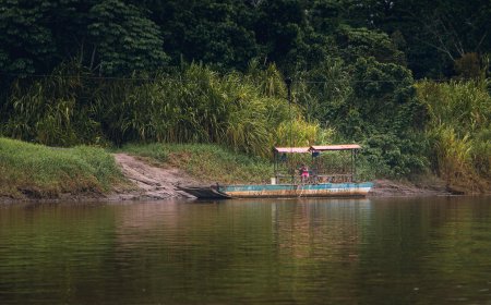 What Must You Discover On Manu Expeditions? - A Quick Guide