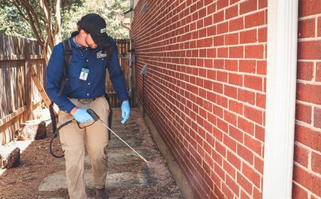 Pest Control Xpertz: Best Pest Control Services in Washington | Affordable & Herbal