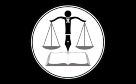 Reasons to trust experts for an appeal criminal case