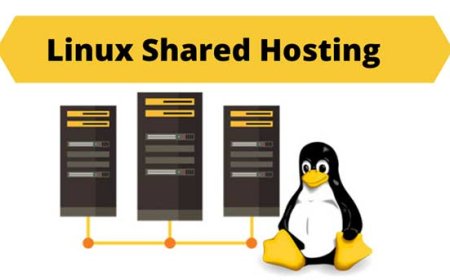Linux Shared Web Hosting: The Best Starting Point for New Websites