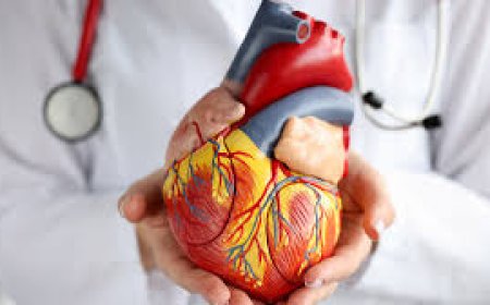 Best Cardiologist in Pune – Book Appointment Online Now
