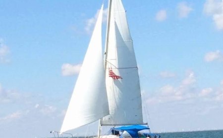 Explore Top-Quality Sails Online at The Sail Store – Your Ultimate Destination for Precision and Performance