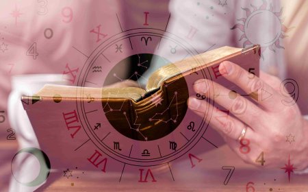 Top Numerologists Reveal the Power of Numerology Services for Names, Life, and Business