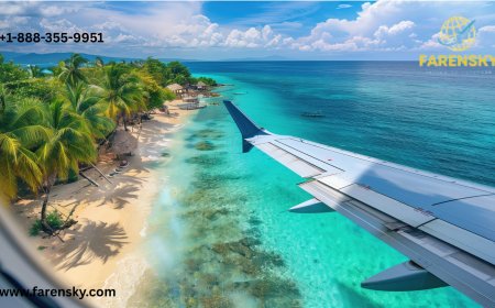 Facing Issues? Expedia Customer Services Number? Connect with Easy Tips! 