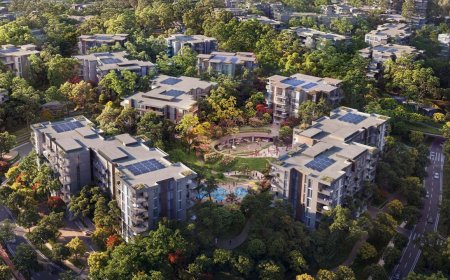 Ghaf Woods Dubai: Majid Al Futtaim’s Vision for Forest Living