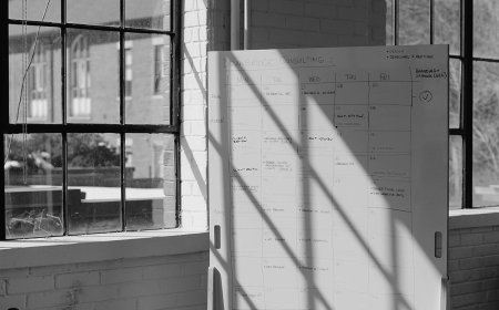 Executive Coaching for CEOs Navigating the Pinnacle of Leadership