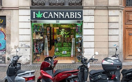 Inside the Rise of the Weed Dispensary Arts District Scene in Los Angeles