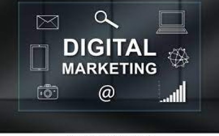 SEO Course in Solan for Students and Professionals