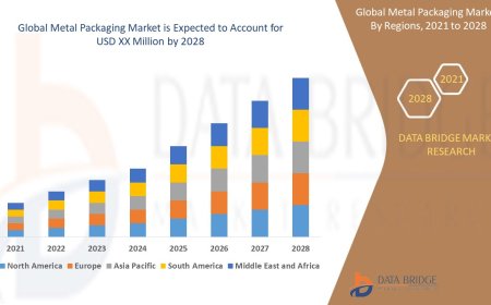 Forging the Future: Metal Packaging Market Expansion and Evolving Dynamics