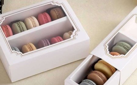 Wholesale Custom Macaron Boxes – Free Shipping & Quick Delivery