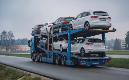 Car Transport Company Florida – Reliable Auto Shipping Made Simple