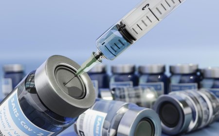 Declining Liraglutide Market: Size, Trends, and Growth Strategies (2025-2032)