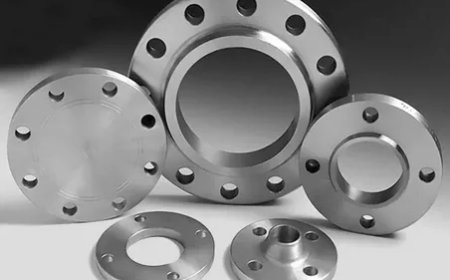 Flanges Market Size, Trends, and Growth Forecast 2025-2032