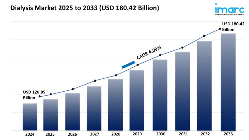 Global Dialysis Market Size, Growth, and Forecast 2025-2033