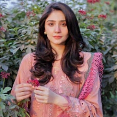 Pakistani ladies garments